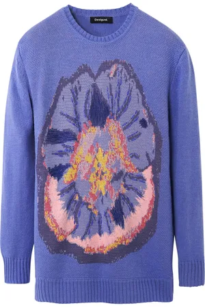 Desigual Pullover 