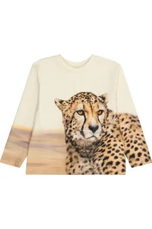 Molo Shirts 