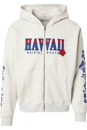 Hollister Sweatjakke