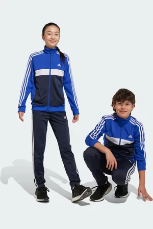 adidas Essentials 3-Stripes Tiberio træningsdragt