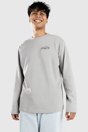 Patagonia LW Unity Fitz Wildrise Crew Sweater grå