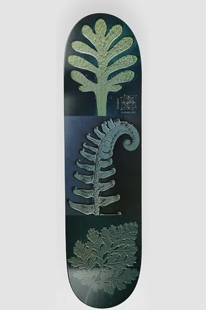 Element Leaves Madars Apse 8.38" Skateboard deck mønster