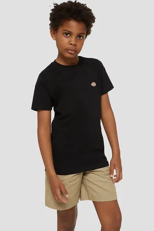 Dickies Mapleton T-shirt sort