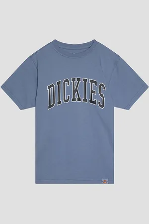 Dickies Aitkin Kids T-shirt blå