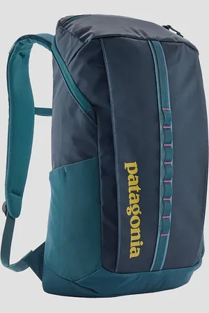 Patagonia Black Hole 25L Rygsæk blå