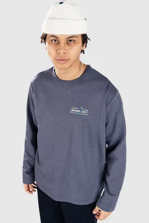 Patagonia LW Unity Fitz Wildrise Crew Sweater blå