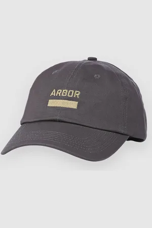 Arbor Surplus Kasket grå