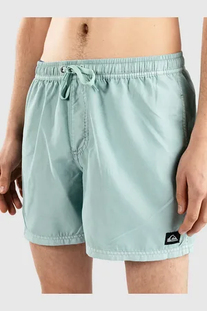 Quiksilver Everyday Surfwash Volley 15 Boardshorts blå