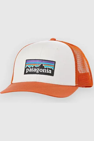 Patagonia P-6 Logo Trucker Kasket hvid