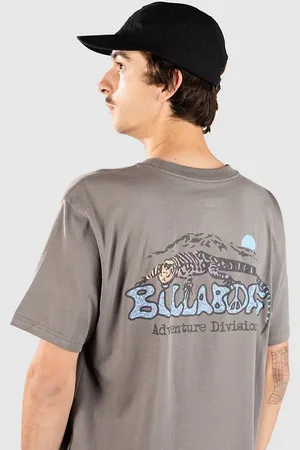 Billabong Lizard Mountain Adiv T-shirt grå