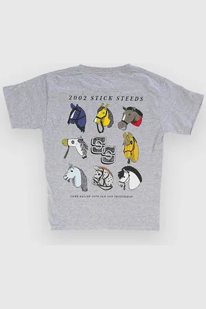 A.Lab Stick Steeds T-shirt grå