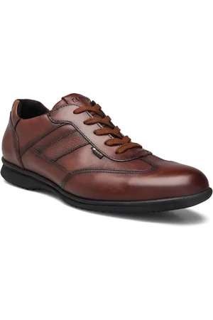 Lloyd Vernon Low-top Sneakers Brown