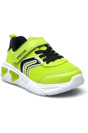 Geox J Assister Boy C Low-top Sneakers Green