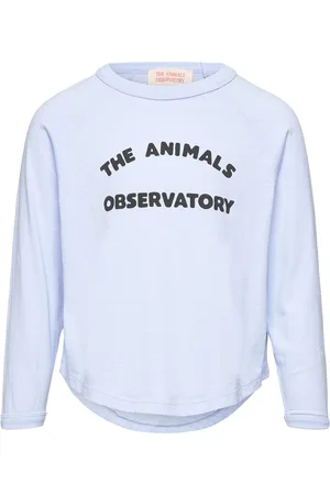 The Animals Observatory Anteater Kid Long Sleeve T-Shirt Soft Blue Tops T-shirts Long-sleeved T-Skjorte Blue