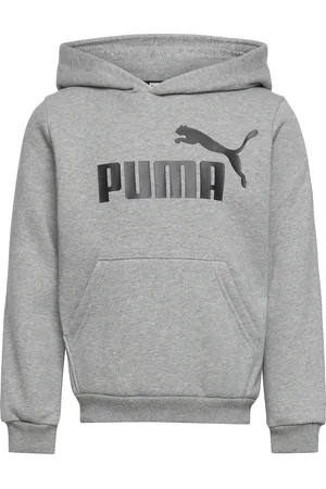 PUMA Ess Big Logo Hoodie Fl B Grey