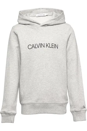 Calvin Klein Institutional Logo Hoodie Grey