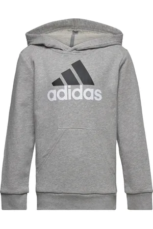 adidas U Bl 2 Hoodie Grey