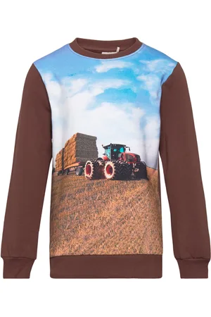 Minymo Sweatshirt Ls Brown
