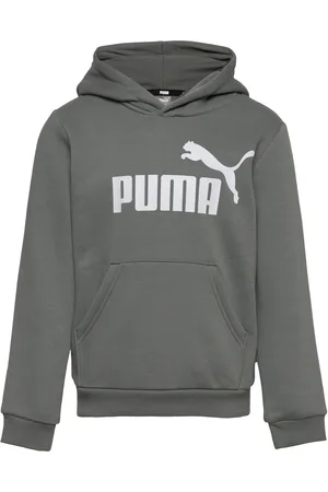 PUMA Ess Big Logo Hoodie Fl B Grey