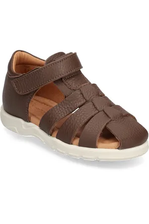 Bisgaard Bagge C Brown
