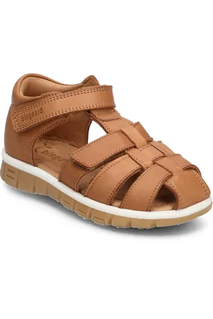 Bisgaard Angus Brown