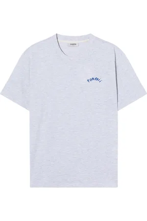 Pompeii Spa Graphic Tee Grey