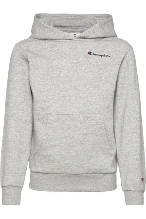 Champion Hooded Sweatshirt Grey