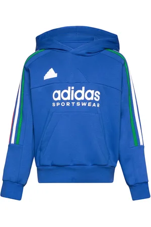 adidas J Np Hoodie Blue