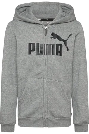 PUMA Ess Big Logo Fz Hoodie Fl B Grey