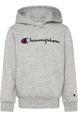 Champion Hooded Sweatshirt Grey