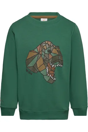 The New Tnlazaron Sweatshirt Green