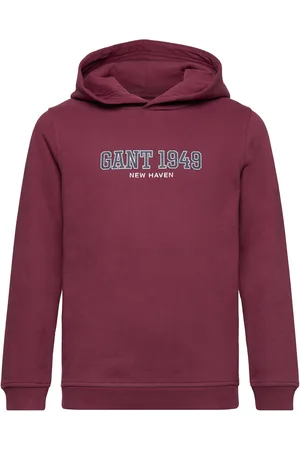 GANT 1949 Hoodie Burgundy