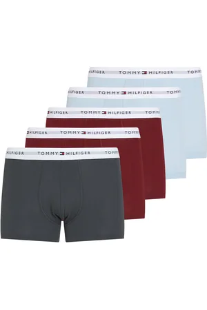 Tommy Hilfiger 5P Trunk Grey