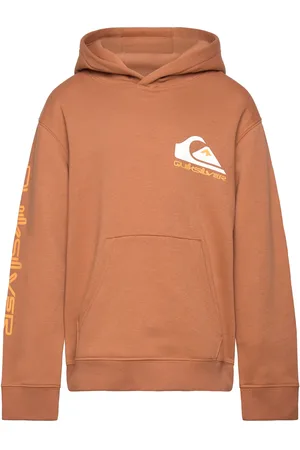 Quiksilver Omni Logo Hoodie Youth Brown