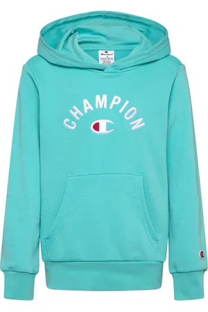 Champion Hooded Sweatshirt Blue