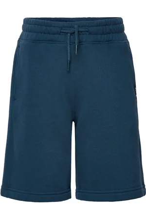 Abercrombie & Fitch Kids Boys Shorts Blue
