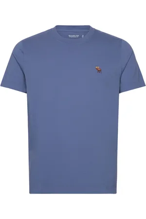 Abercrombie & Fitch Anf Mens Knits Blue