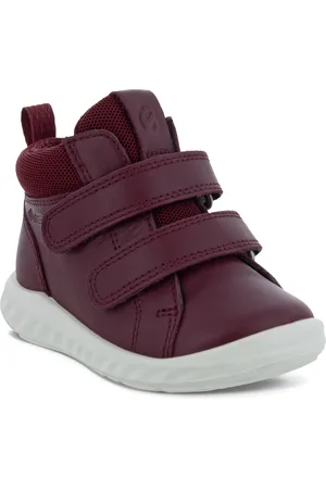 Ecco SP.1 Lite Infant