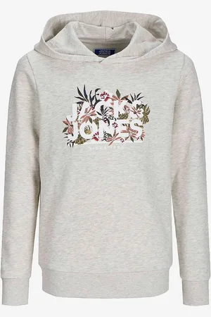 JACK & JONES Hættetrøje jjChill Shape Sweat Hood
