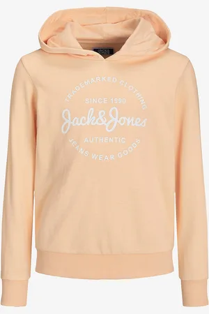 JACK & JONES Hættetrøje jjForest Sweat Hood Jnr