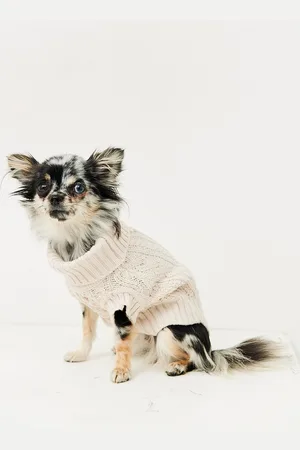 ELLOS Hundetrøje Barker