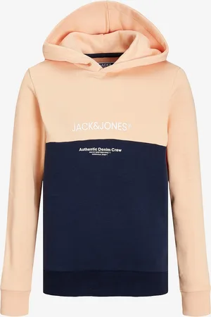 JACK & JONES Hættetrøje jjeRyder Blocking Sweat Hood SN Jnr