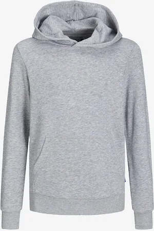 JACK & JONES Hættetrøje jjeBradley Sweat Hood Noos