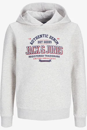 JACK & JONES Hættetrøje jjeLogo Sweat Hood