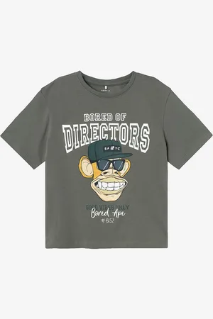 NAME IT T-shirt nkmAros Boredofd SS Nreg Top Box SK
