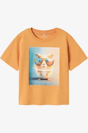NAME IT T-shirt nmmVoto SS Nreg Top