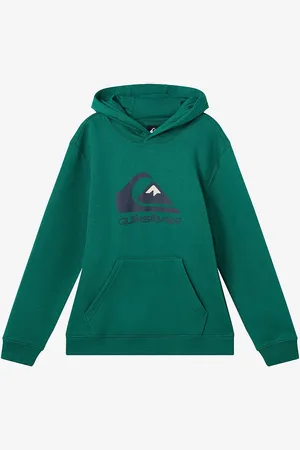 Quiksilver Hættetrøje Big Logo Hoodie Youth