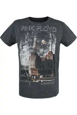 Pink Floyd T-shirt - Animals - M till XXL - Herrer