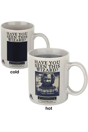Harry Potter Kop - Sirius Black Eftersøgt - Unisex