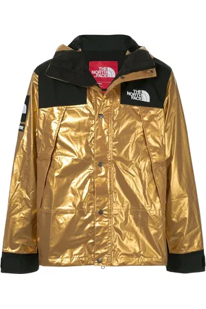 Supreme TNF Metallic Mountain-parka
